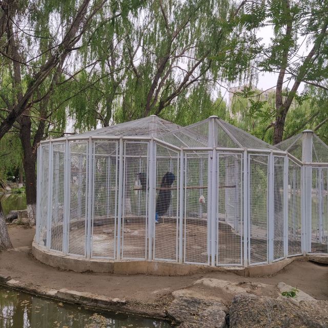 西局玉璞园旅行图片 13