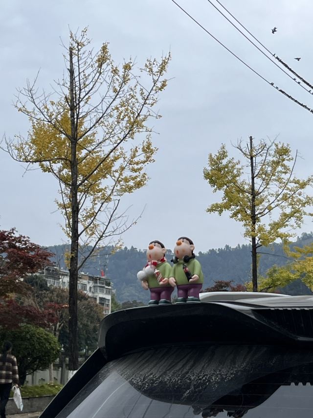 银杏公园旅行图片 1
