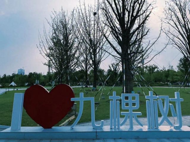 九棵树艺术公园旅行图片 1