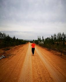 毛乌素沙漠-靖边-YoYo_7J4L4T1V