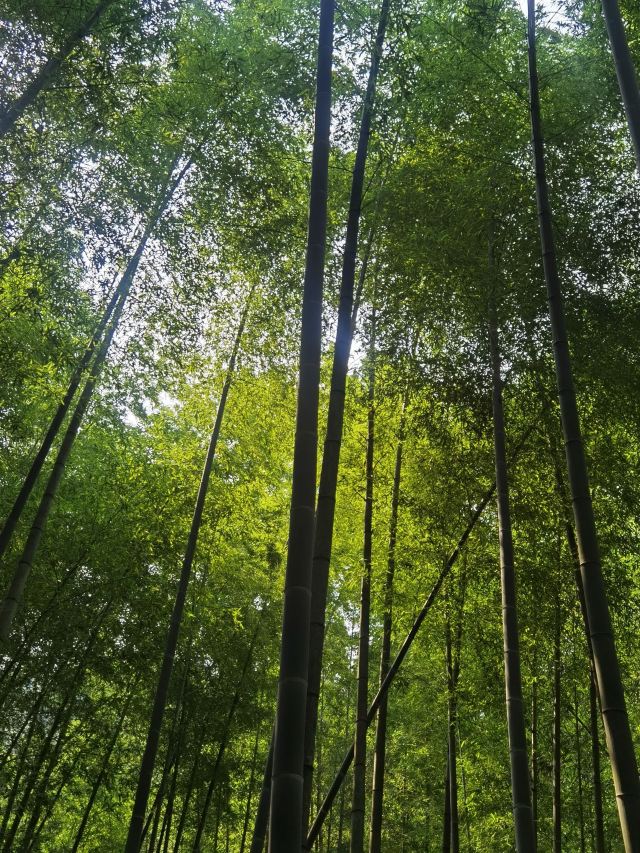 上海人民广场旅行图片 4