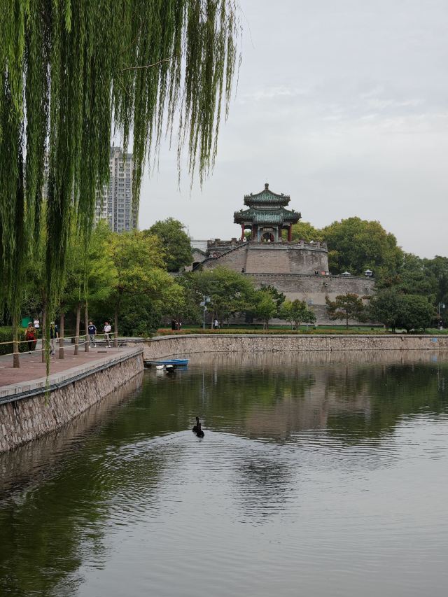 丛台公园旅行图片 2
