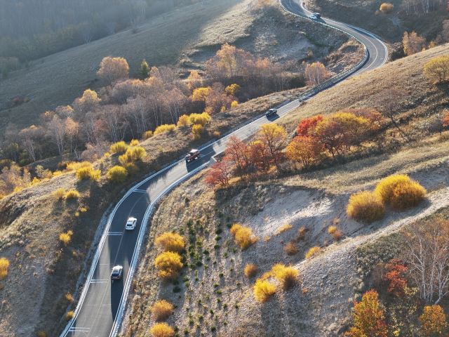 黄岗梁国家森林公园旅行图片 3