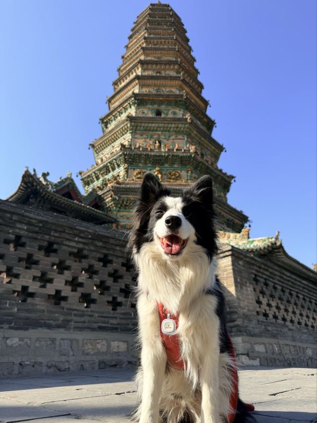广胜寺旅行图片 1