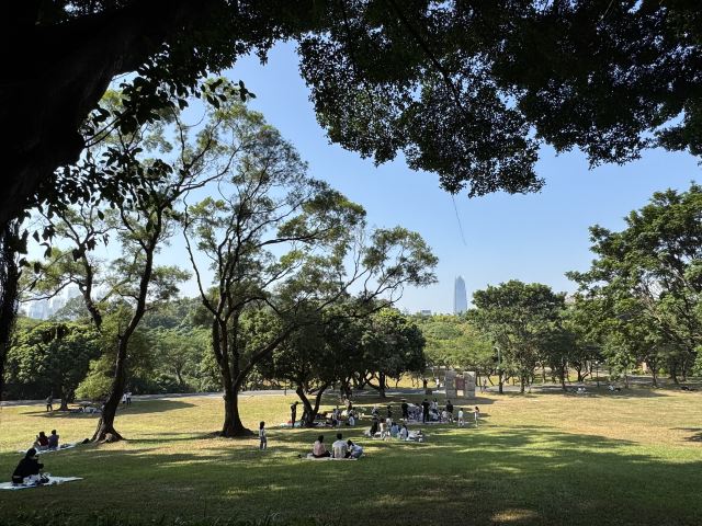 中山公园旅行图片 14