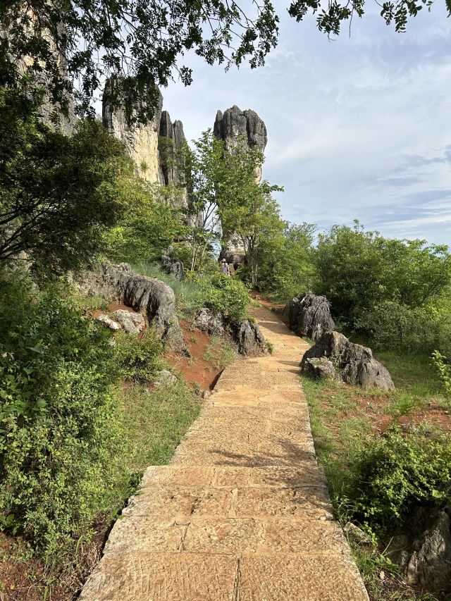 乃古石林风景区旅行图片 1