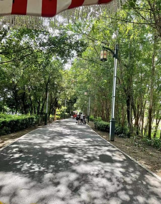 华阳湖国家湿地公园旅行图片 2