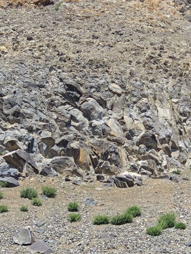 砧子山古岩画旅行图片 6