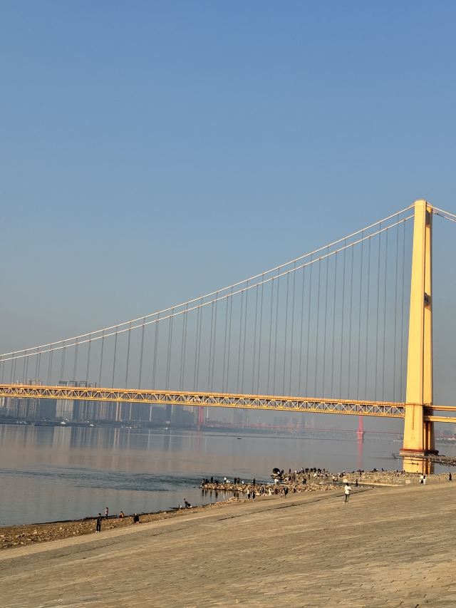 洪山江滩旅行图片 1