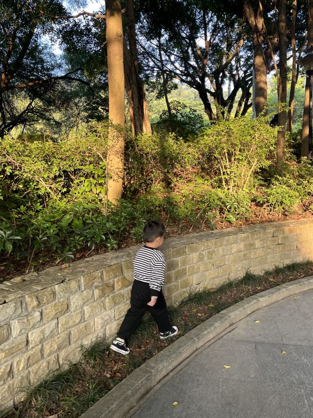 尖岗山公园旅行图片 1