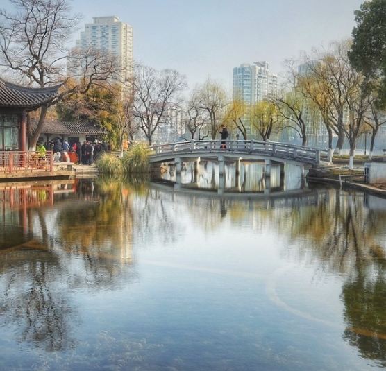 莫愁湖公园旅行图片 3