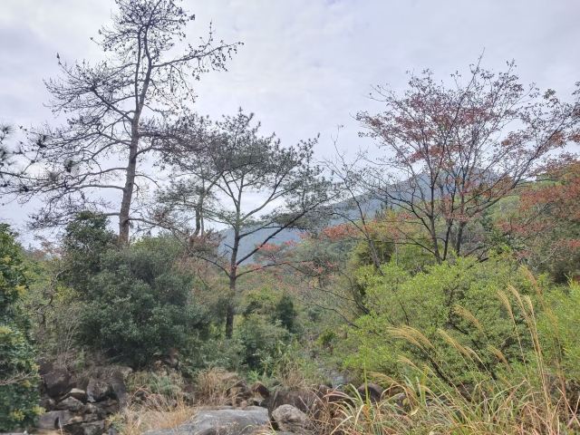 造水村流枫溪旅行图片 5