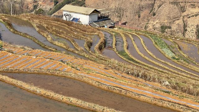 新山梯田旅行图片 11