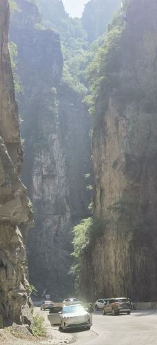 黑毛沟大峡谷-陵川-种草的阿雄