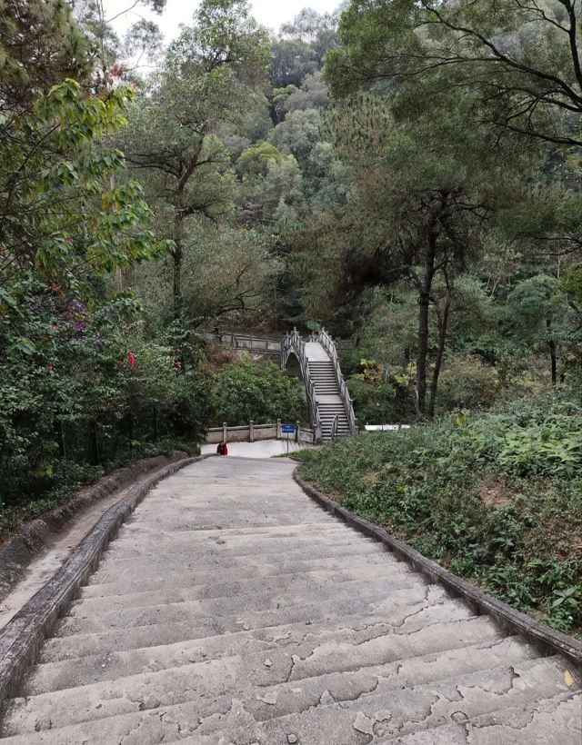 五象岭森林公园旅行图片 4