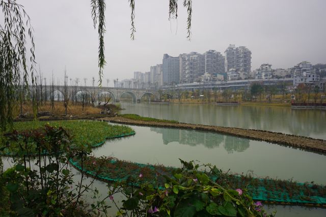花溪湖公园旅行图片 1