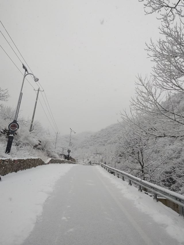 嶂石岩国家地质公园旅行图片 5