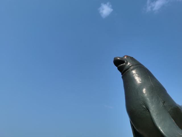 西霞口神雕山野生动物世界奇遇乐园旅行图片 1