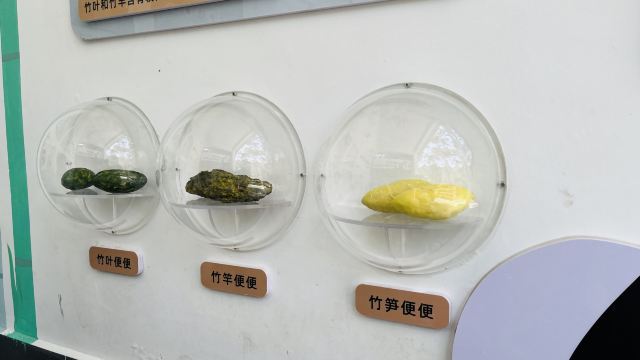 大熊猫馆旅行图片 11