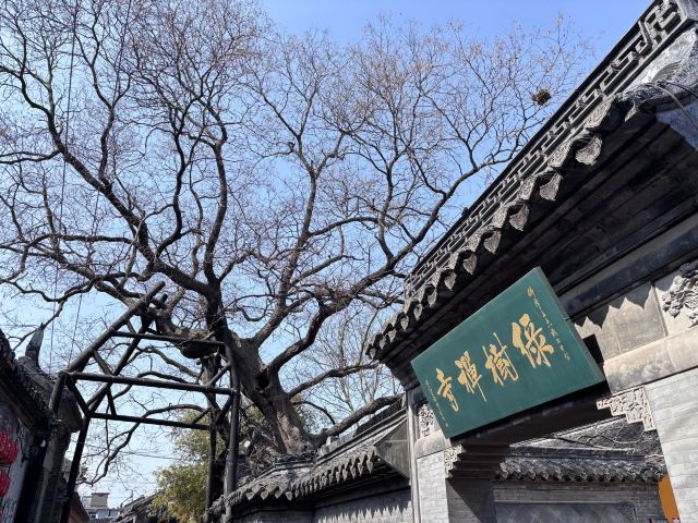 溱潼古镇旅游区旅行图片 4