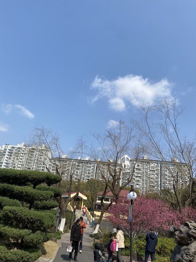 曲阳公园旅行图片 9