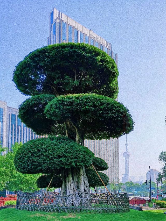 古城公园旅行图片 2