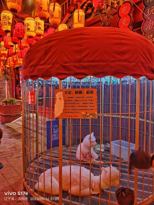 中央里文化旅游景区旅行图片 4