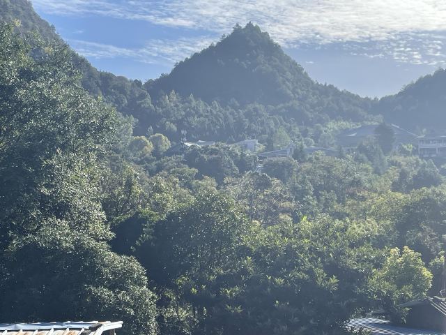 孔学堂旅行图片 3