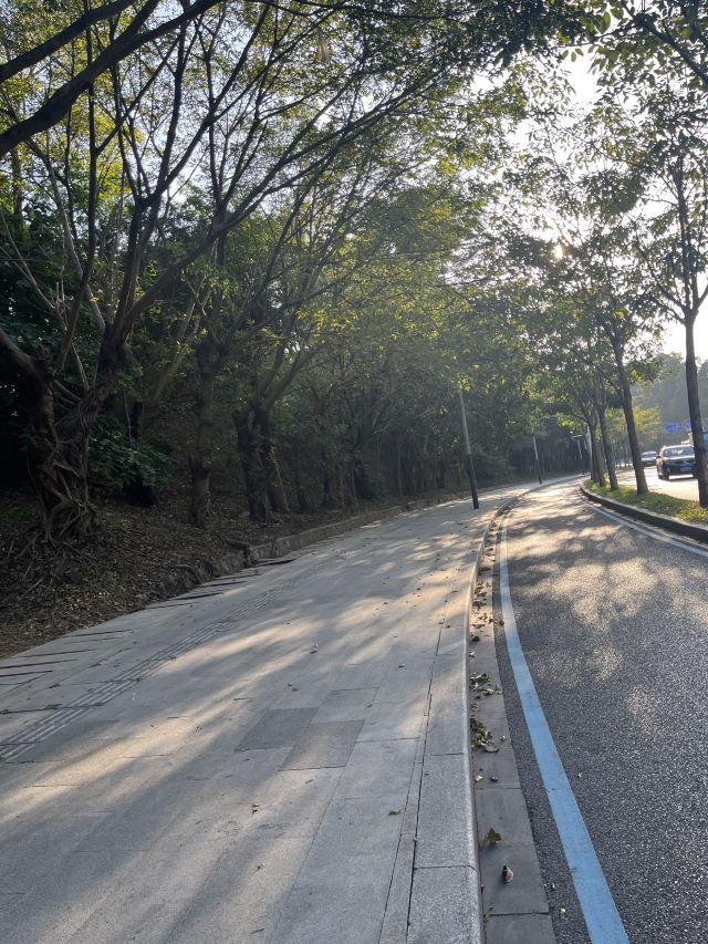 尖岗山公园旅行图片 1