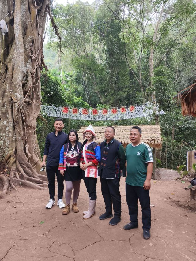 基诺山达娘雨林徒步旅行图片 2