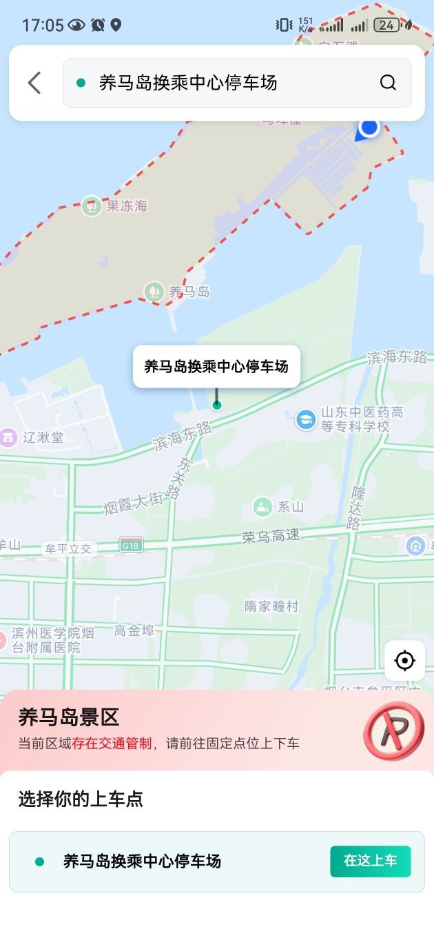 养马岛林间花海旅行图片 2