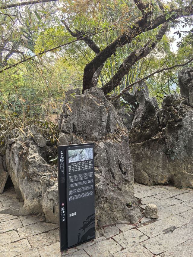 黄姚古镇景区旅行图片 2