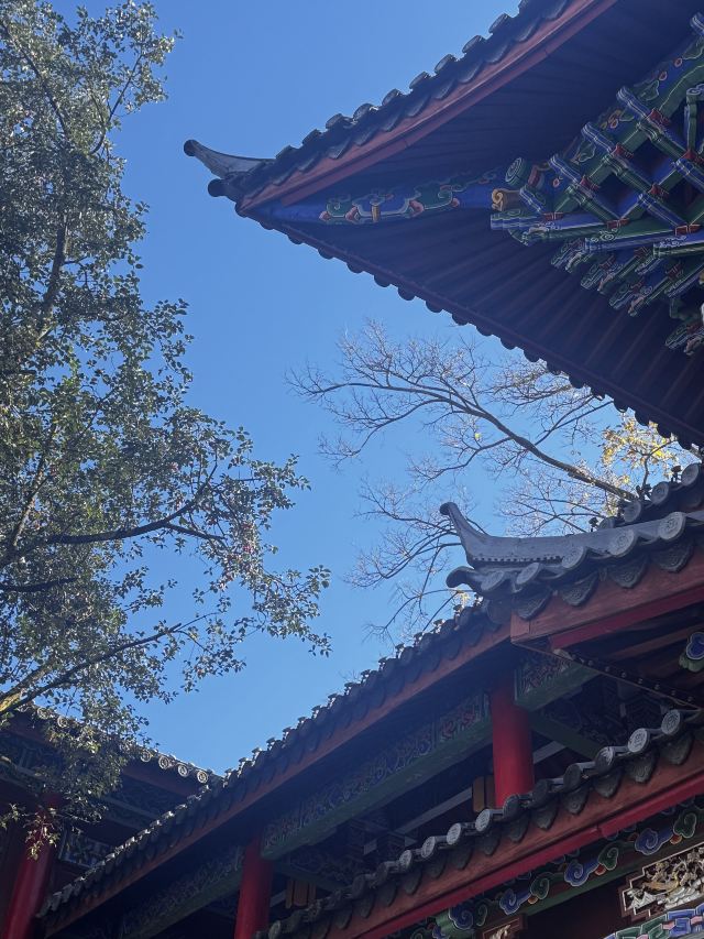 丽江古城旅行图片 2