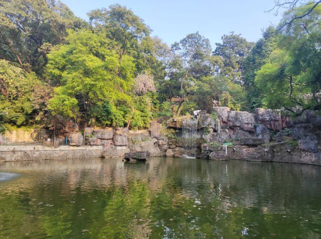 东莞人民公园旅行图片 4
