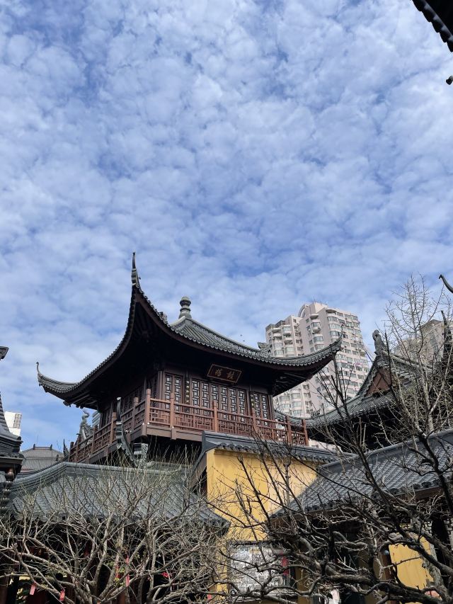 玉佛禅寺旅行图片 8