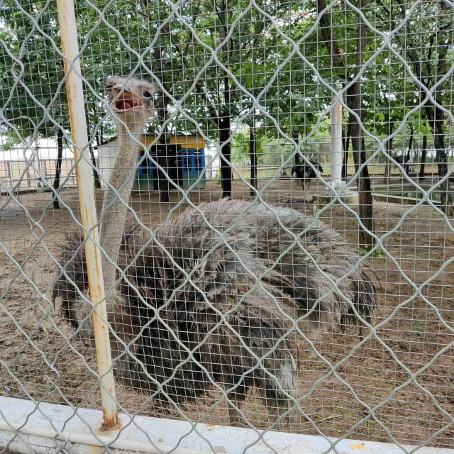 熊岳植物园旅行图片 1