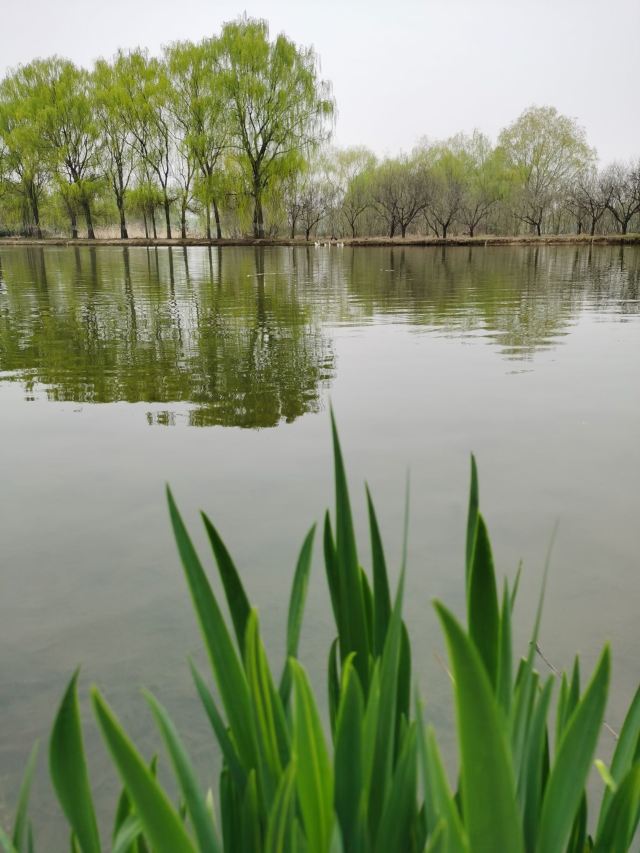 西安浐灞国家湿地公园旅行图片 4