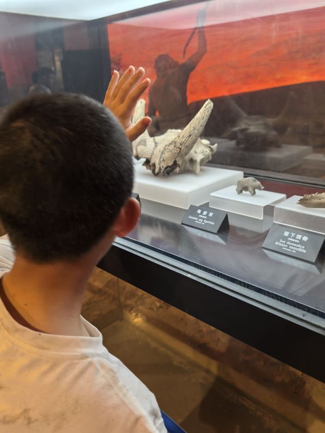 河姆渡遗址旅行图片 3