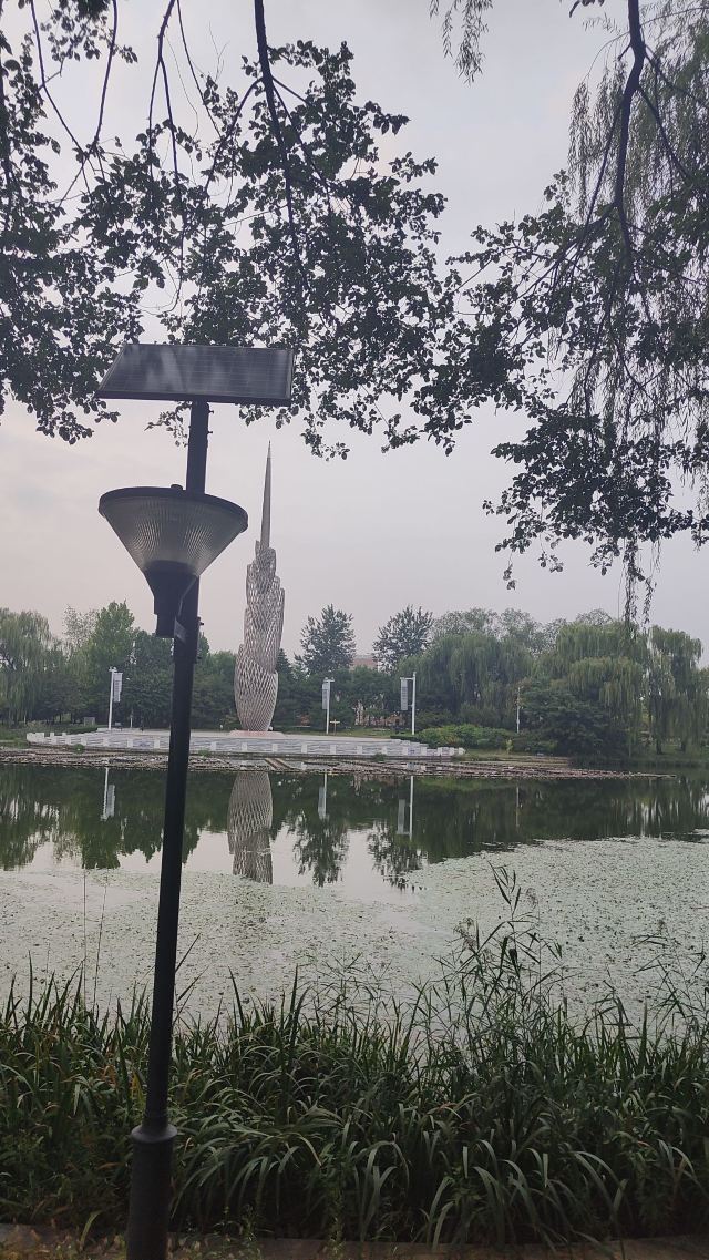 花博会主题公园旅行图片 3
