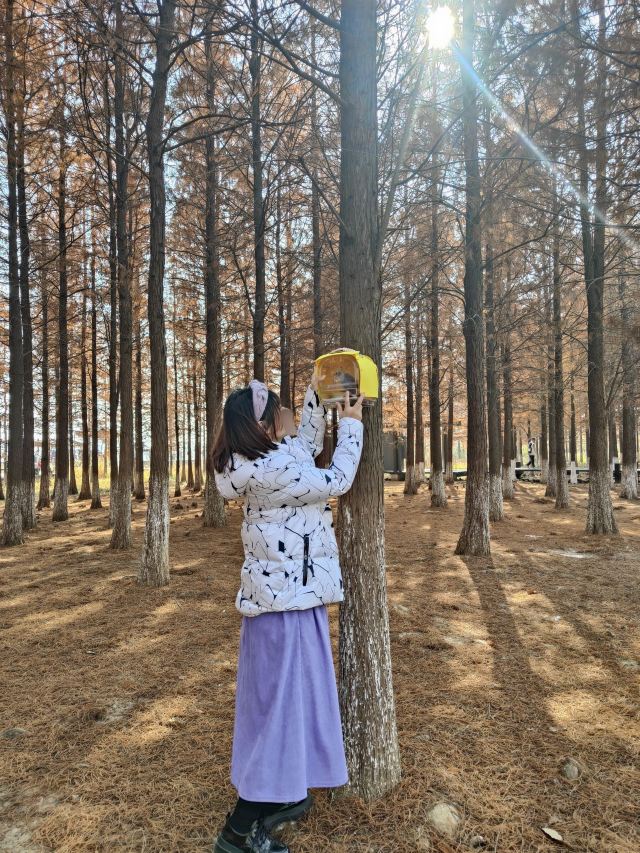 龙灵山生态公园旅行图片 5