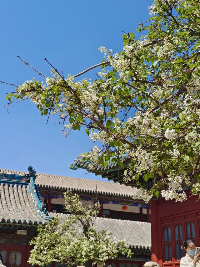 杜甫纪念馆旅行图片 1