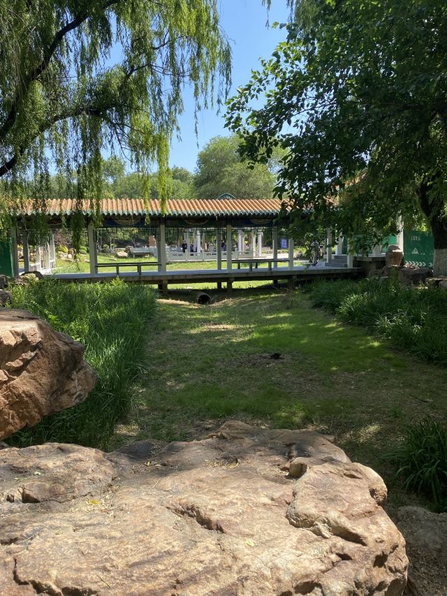 夏芳园旅行图片 3