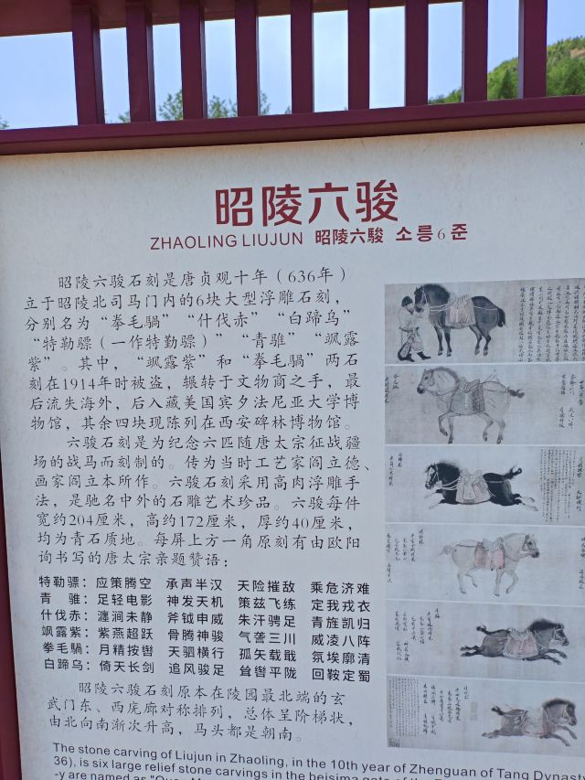 唐昭陵旅行图片 6