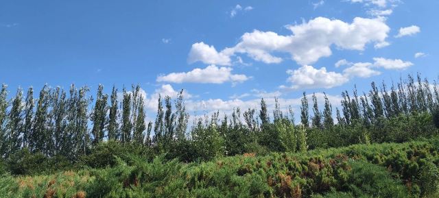 呼和浩特市植物园旅行图片 10
