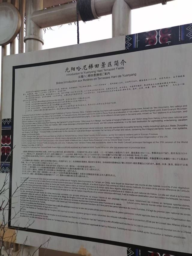 多依树观景台旅行图片 2
