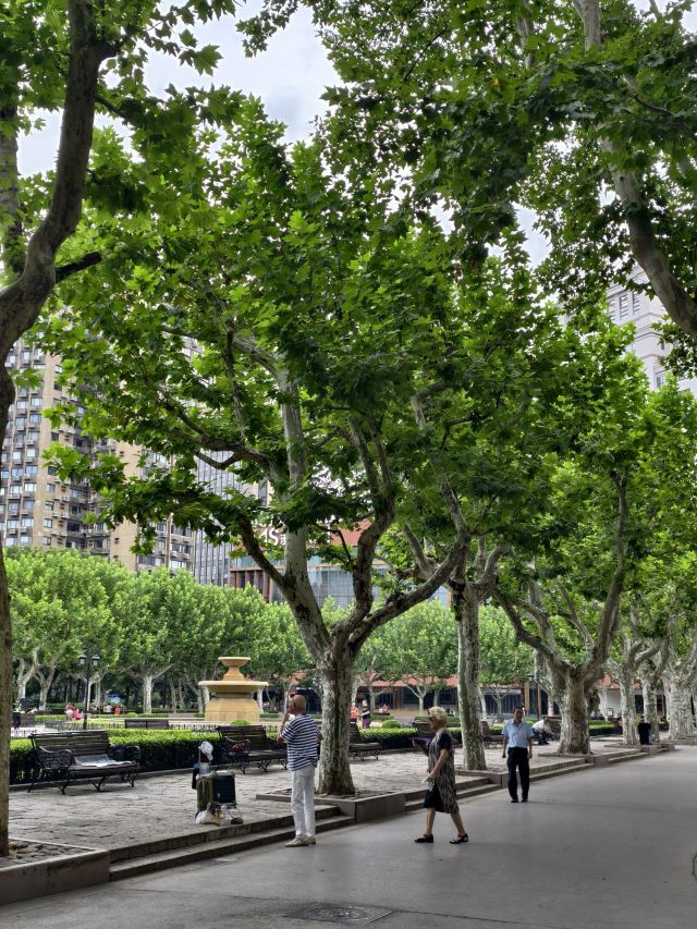 复兴公园旅行图片 1
