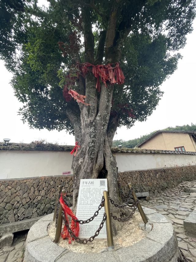 桂峰古村落景区旅行图片 4