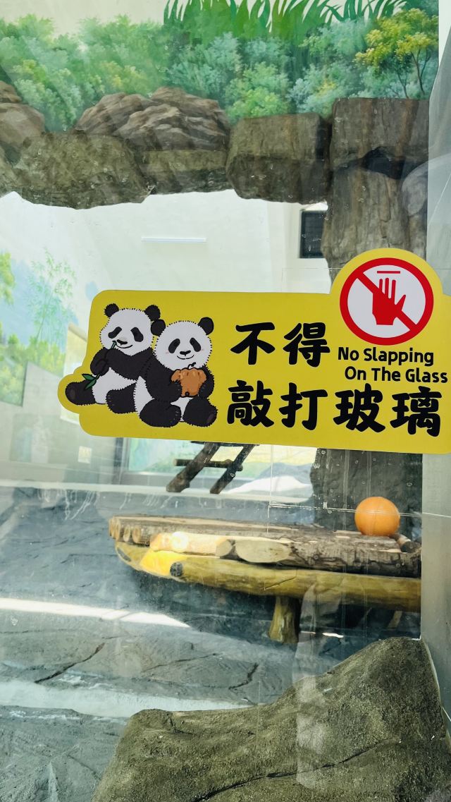 大熊猫馆旅行图片 6