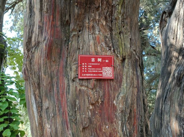 日坛公园旅行图片 2