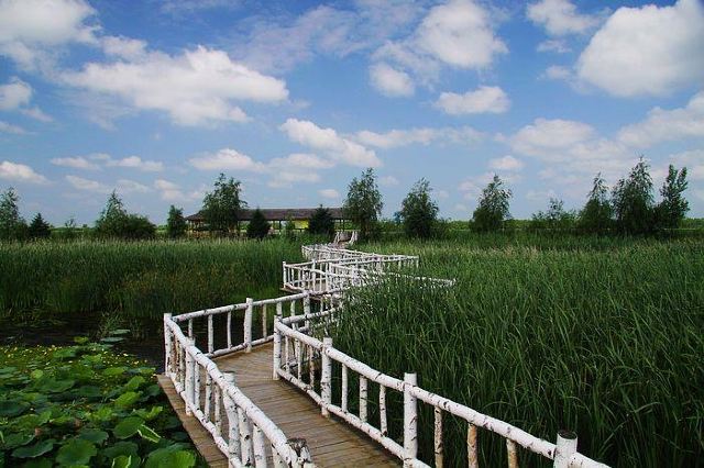 双鸭山市承平湖公园旅行图片 1